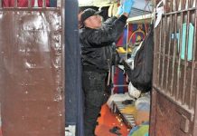 Cerca de 200 celulares decomisó Gendarmería durante allanamientos realizados en cárceles de toda la región.
