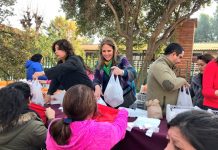 Casi 1000 kilos de kiwis de exportación que se dirigían a Corea fueron regalados en Olmué