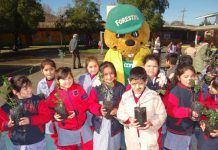 Forestín, la mascota y símbolo de CONAF, celebró su cumpleaños N°42 en Casablanca