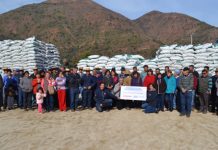 Entregan 42 toneladas de alimento para ganado en Colliguay