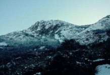 Sistema frontal: CONAF reabrió dos de los tres sectores del Parque Nacional La Campana