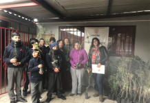 San Felipe: Escuela John Kennedy y junta de vecinos reciben alrededor de 100 árboles para hermosear el sector