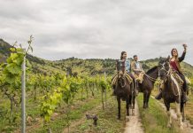 Sernatur extiende plazo para postular al concurso Más Valor Turístico