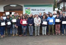 EXTENSIONISTAS MEJORAN MANEJO TÉCNICO DE ESPECIES HORTÍCOLAS Y FRUTALES GRACIAS A CAPACITACIÓN DEL CONVENIO INIA-INDAP