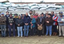 INDAP ENTREGÓ 30 TONELADAS DE ALIMENTO ANIMAL A AGRICULTORES DE ZAPALLAR Y PAPUDO