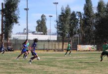 Campeonato de fútbol infantil: El Polideportivo de División Andina recibe a jóvenes deportistas de Los Andes