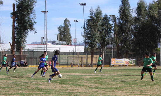 polideportivo_el_informador_lll1portal
