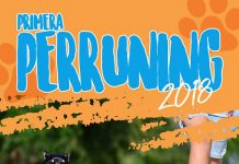 San Felipe: Invitan a todos los sanfelipeños a disfrutar de la 3° versión de la “Perruning” 2018