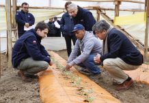 DIRECTOR NACIONAL DE INDAP VISITÓ REGIÓN DE VALPARAÍSO Y VALORÓ LOS AVANCES DE LA PEQUEÑA AGRICULTURA