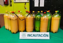 Gendarmes de San Felipe incautan chicha artesanal y drogas