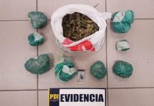 PDI INCAUTA DROGA EN CONTROL CARRETERO DE PICHIDANGUI