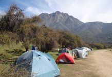 CONAF reabrió sectores para acampar en el Parque Nacional La Campana