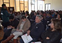 SAN FELIPE: MÁS DE 100 APICULTORES DE LA REGIÓN SE CONGREGARON EN SEMINARIO QUE BUSCA POTENCIAR EL RUBRO