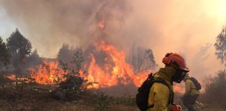 Conaf llama a prevenir incendios forestales durante las Fiestas Patrias en la Región de Valparaíso
