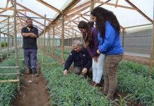 INDAP APLICA HISTÓRICA BAJA EN INTERESES DE CRÉDITOS A PRODUCTORES CAMPESINOS