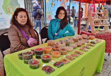 EcoFeria de Quintero ofrece desde frutos secos, licores artesanales, hasta mermelada de cochayuyo