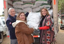 100 AGRICULTORES DE CABILDO Y PAPUDO RECIBEN CONCENTRADO DE ALFALFA E INSUMOS AGRÍCOLAS PARA ENFRENTAR LA ESCASEZ HÍDRICA
