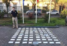 PDI LOS ANDES DECOMISA MILLONARIO CARGAMENTO DE CLORHIDRATO DE COCAÍNA