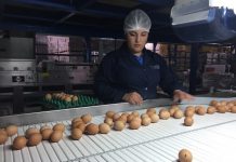 Verduras crudas y huevo: fórmula infalible para reactivarse después de Fiestas Patrias