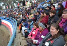 OLMUÉ: EN LA MEDIALUNA DE QUEBRADA ALVARADO SE REALIZARÁ ESTE MIÉRCOLES EL DÍA DEL CAMPESINO