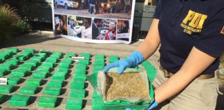 EN CONTROL TERRESTRE ANTINARCÓTICOS INCAUTAN SIETE MIL DOSIS DE CANNABIS SATIVA