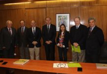 Fedefruta propone una Ley de Fomento a la Reconversión, para financiar la urgente modernización de la fruticultura chilena