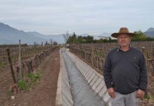 INDAP y el Gobierno Regional trabajan en conjunto para el revestimiento del Canal Salinas en San Felipe