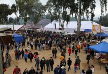 Zapallar celebra el mes de la patria con su 13° Fiesta Costumbrista