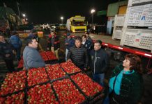 Pequeños productores de Valparaíso conocieron en terreno cómo funciona el convenio INDAP-Lo Valledor