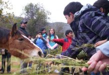 El Turismo Rural llega a Valparaíso de la mano de INDAP y Sernatur