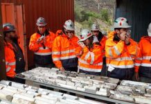 Estudiantes brasileños visitaron División Andina