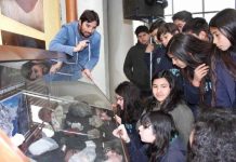 Con gran participación alumnos del Colegio Inglés visitan Codelco Andina