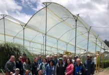 CORFO Y FEDEFRUTA REALIZARÁN SUMMIT DE FRUTICULTURA SUSTENTABLE EN QUILLOTA Y LOS ANDES