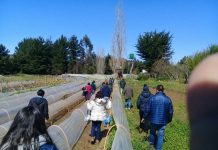 SEGUROS AGROPECUARIOS: UNA GRAN HERRAMIENTA PARA ENFRENTAR EL CAMBIO CLIMÁTICO