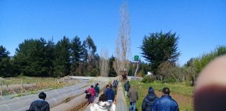 SEGUROS AGROPECUARIOS: UNA GRAN HERRAMIENTA PARA ENFRENTAR EL CAMBIO CLIMÁTICO