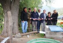 382 AGRICULTORES SON BENEFICIADOS CON OBRAS DE RIEGO EN VALLE HERMOSO