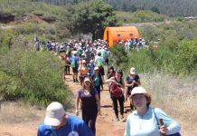 Casi 300 universitarios y funcionarios hicieron trekking en parque de Quebrada Verde
