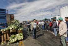 INDAP Y LO VALLEDOR RENUEVAN CONVENIO QUE ENTREGA ESPACIOS DE VENTA PREFERENTES A LOS PRODUCTORES CAMPESINOS