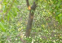 Ministro Walker: “Estamos evaluando los daños y vamos a estar al lado de los agricultores”