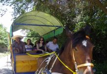 Lanzan temporada de turismo rural 2019 en el corazón del barrio puerto