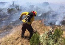 Tras usar negligentemente una sierra circular, adulto mayor provocó incendio forestal en Valparaíso
