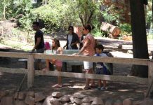 Un panorama familiar: Vecinos del valle de Aconcagua visitan la Piscicultura Río Blanco