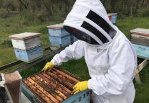 Fondo Nacional de Reconstrucción: Hacienda e INDAP entregan colmenas a pequeños agricultores de la Región de Valparaíso afectados por incendios