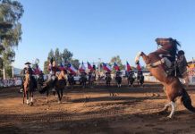 En Catapilco y Cachagua: Palmas de Peñaflor se presentó ante más de 3 mil espectadores