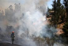 LA ARAUCANÍA: CONFIRMAN MUERTE DE SEGUNDO ADULTO MAYOR POR INCENDIOS FORESTALES