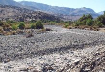 QUINTA CORDILLERA OLVIDADA ANTE SEQUÍA