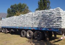 Distribuyen más de 43 mil sacos de alfalfa a agricultores de la región a fin de paliar efectos de la sequía