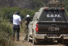 HALLAN CUERPO ACUCHILLADO Y MANIATADO CON ALAMBRE EN HUMEDAL DE VALDIVIA