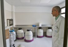 Clínica de Reproducción Humana de la UV busca preservar fertilidad de pacientes oncológicos