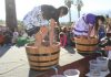 En cinco comunas de la región de Valparaíso se celebran las tradicionales Fiestas de la Vendimia